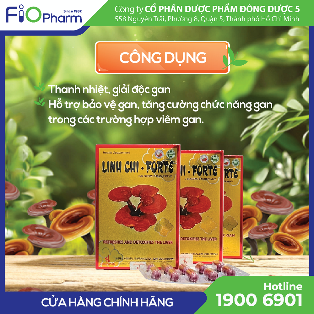 Linh Chi Forte